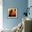 Eastern Sun-Gideon Ansell-Framed Premium Photographic Print displayed on a wall