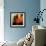 Eastern Sun-Gideon Ansell-Framed Premium Photographic Print displayed on a wall