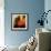 Eastern Sun-Gideon Ansell-Framed Premium Photographic Print displayed on a wall