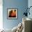 Eastern Sun-Gideon Ansell-Framed Photographic Print displayed on a wall