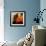 Eastern Sun-Gideon Ansell-Framed Photographic Print displayed on a wall