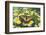 Eastern Tiger Swallowtail Butterfly-Darrell Gulin-Framed Photographic Print