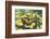 Eastern Tiger Swallowtail Butterfly-Darrell Gulin-Framed Photographic Print