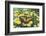 Eastern Tiger Swallowtail Butterfly-Darrell Gulin-Framed Photographic Print