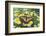 Eastern Tiger Swallowtail Butterfly-Darrell Gulin-Framed Photographic Print