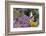 Eastern Tiger Swallowtail on Brazilian Verbena, Marion Co. Il-Richard ans Susan Day-Framed Photographic Print