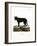 Eastern Timber Wolf-null-Framed Giclee Print