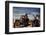 Easy Rider, 1969-null-Framed Photographic Print