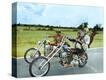 Stretched Canvas Print