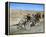 Easy Rider-null-Framed Stretched Canvas