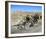 Easy Rider-null-Framed Photo