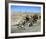 Easy Rider-null-Framed Photo