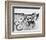 Easy Rider-null-Framed Photo