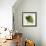 Easy Tropics - Prosper-Aria Ellis-Framed Giclee Print displayed on a wall