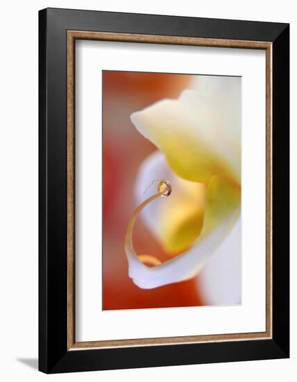 Eat me !-Heidi Westum-Framed Photographic Print