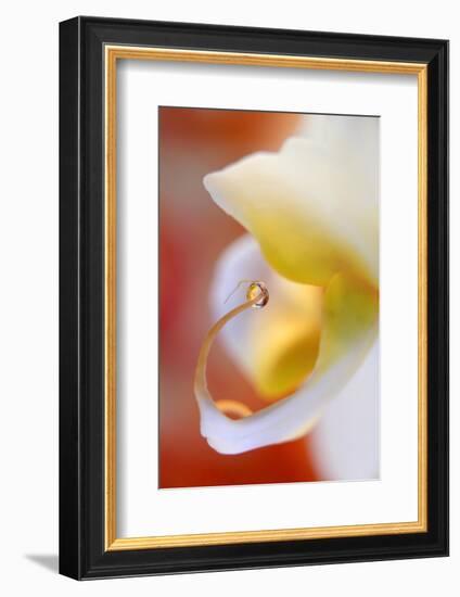 Eat me !-Heidi Westum-Framed Photographic Print