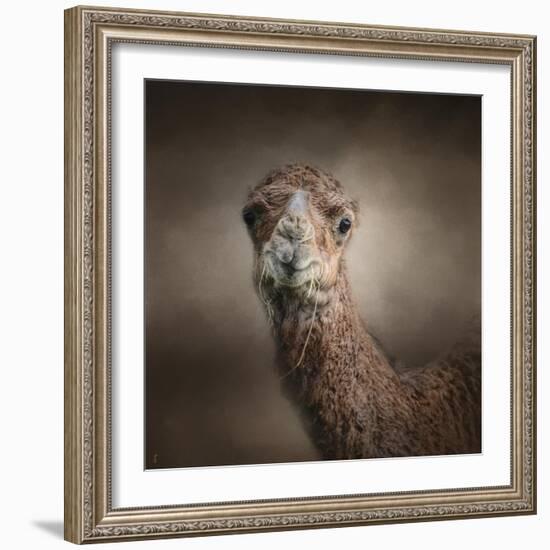 Eat Your Veggies Camel-Jai Johnson-Framed Giclee Print