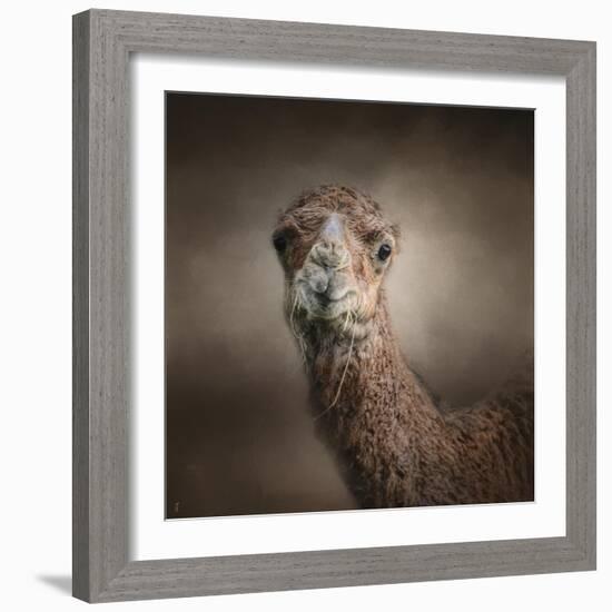 Eat Your Veggies Camel-Jai Johnson-Framed Giclee Print