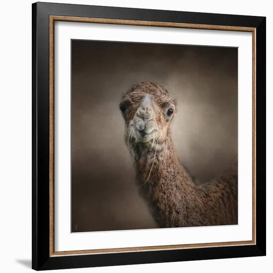 Eat Your Veggies Camel-Jai Johnson-Framed Giclee Print