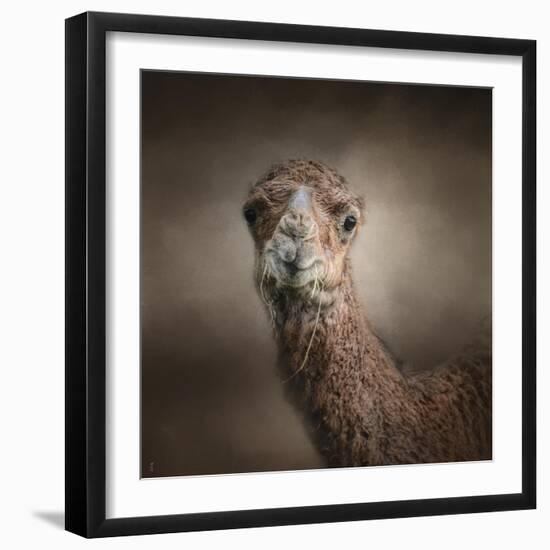 Eat Your Veggies Camel-Jai Johnson-Framed Giclee Print