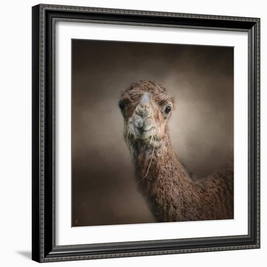 Eat Your Veggies Camel-Jai Johnson-Framed Giclee Print