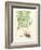 Eaton Ferns IV-Daniel C. Eaton-Framed Art Print