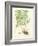 Eaton Ferns IV-Daniel C. Eaton-Framed Art Print