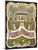 Eau De Fleur D'Oranger-null-Mounted Giclee Print