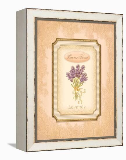 Eau de Parfum III-Delphine Corbin-Framed Stretched Canvas