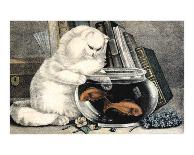 Persian Cat and Gold Fish-Ebby Hoyt-Mounted Art Print