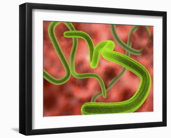 Ebola Virus Particles-Roger Harris-Framed Photographic Print