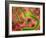 Ebola Virus Particles-Roger Harris-Framed Photographic Print