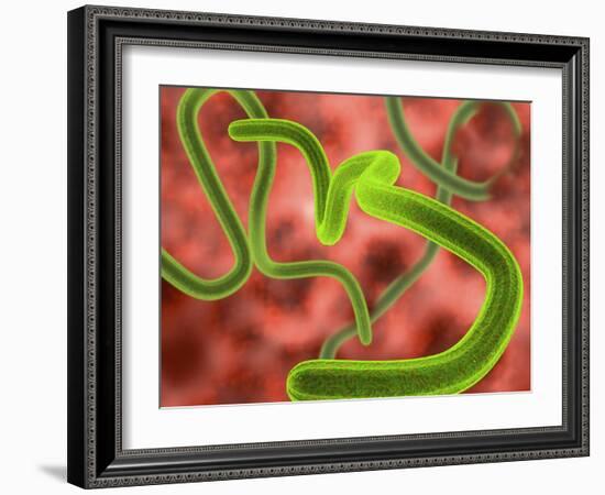 Ebola Virus Particles-Roger Harris-Framed Photographic Print