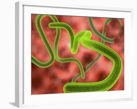 Ebola Virus Particles-Roger Harris-Framed Photographic Print