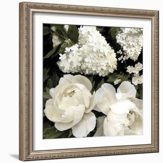 Ebony Blooms-Alan Lambert-Framed Giclee Print