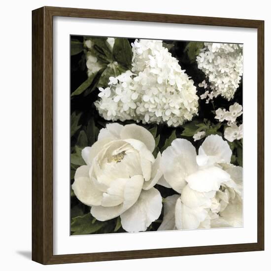 Ebony Blooms-Alan Lambert-Framed Giclee Print