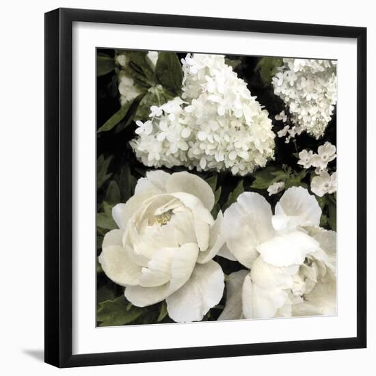 Ebony Blooms-Alan Lambert-Framed Giclee Print