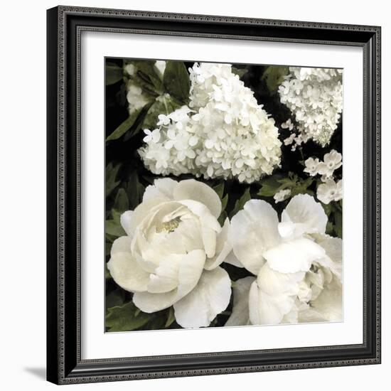 Ebony Blooms-Alan Lambert-Framed Giclee Print