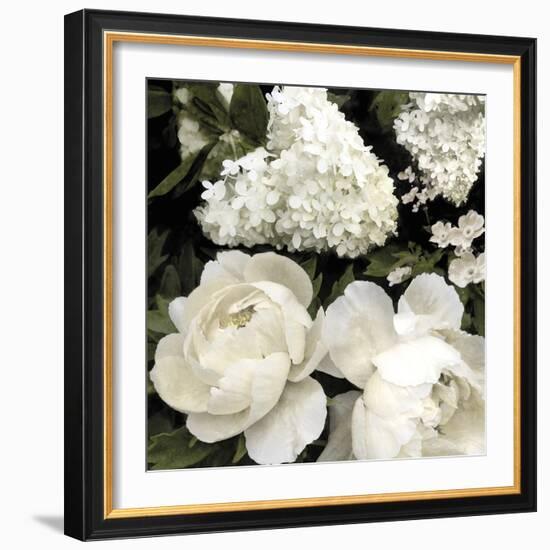 Ebony Blooms-Alan Lambert-Framed Giclee Print