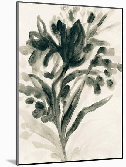 Ebony Bouquet I-June Vess-Mounted Art Print