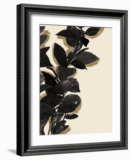 Ebony Branch I-Annie Warren-Framed Art Print