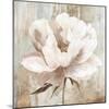 Ebony Floral I-Aria K-Mounted Art Print