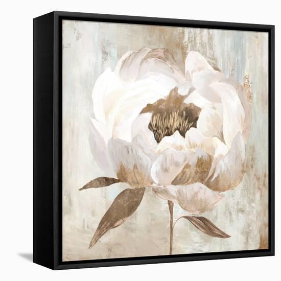 Ebony Floral II-Aria K-Framed Stretched Canvas