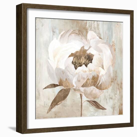 Ebony Floral II-Aria K-Framed Art Print