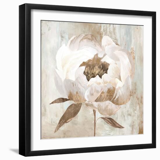 Ebony Floral II-Aria K-Framed Art Print