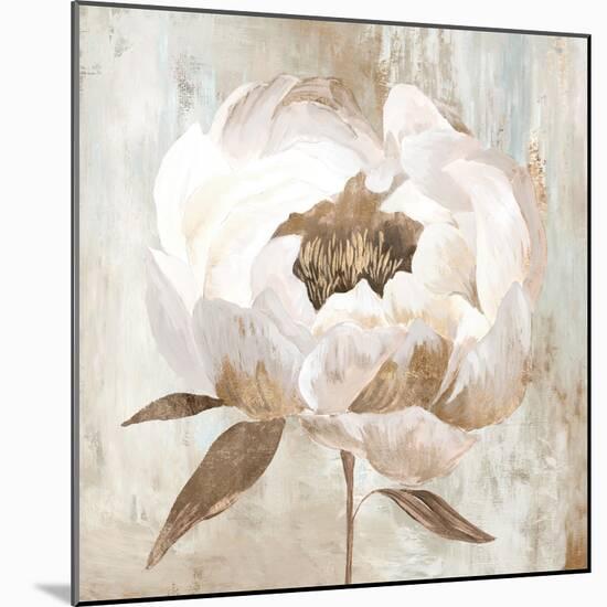 Ebony Floral II-Aria K-Mounted Art Print