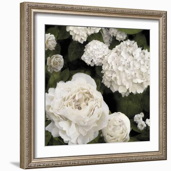 Ebony Flowers-Alan Lambert-Framed Giclee Print