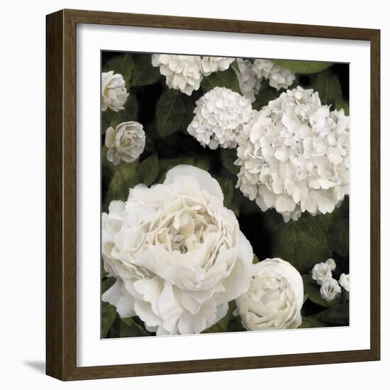 Ebony Flowers-Alan Lambert-Framed Giclee Print