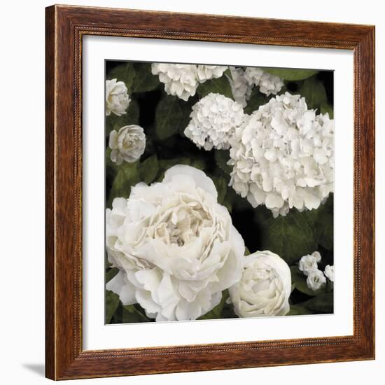 Ebony Flowers-Alan Lambert-Framed Giclee Print