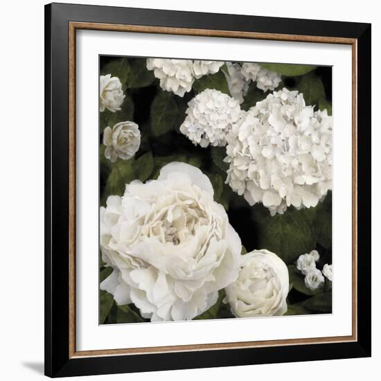 Ebony Flowers-Alan Lambert-Framed Giclee Print